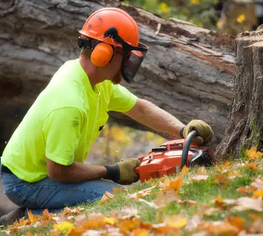 tree services Independence